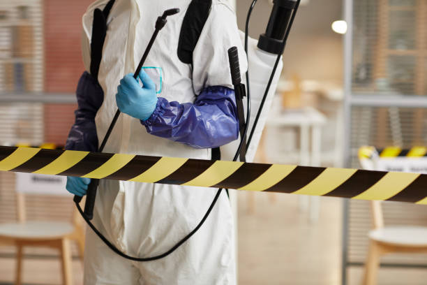 Professional Hoarding Cleanup technician working in Larsen, WI